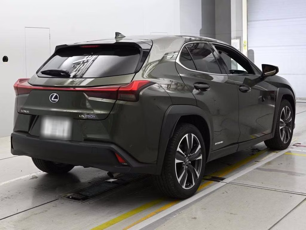 LEXUS UX250H