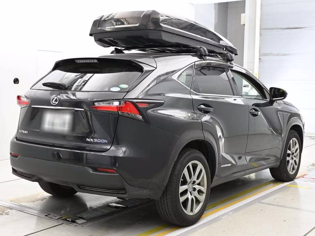 LEXUS NX300H