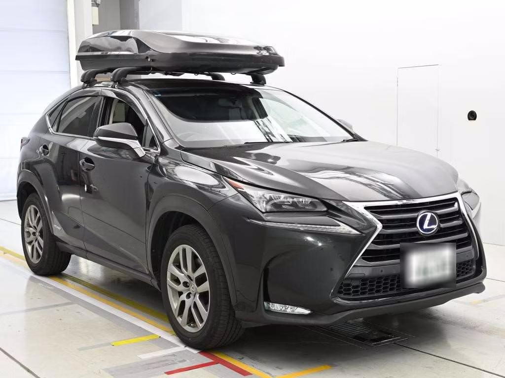 LEXUS NX300H