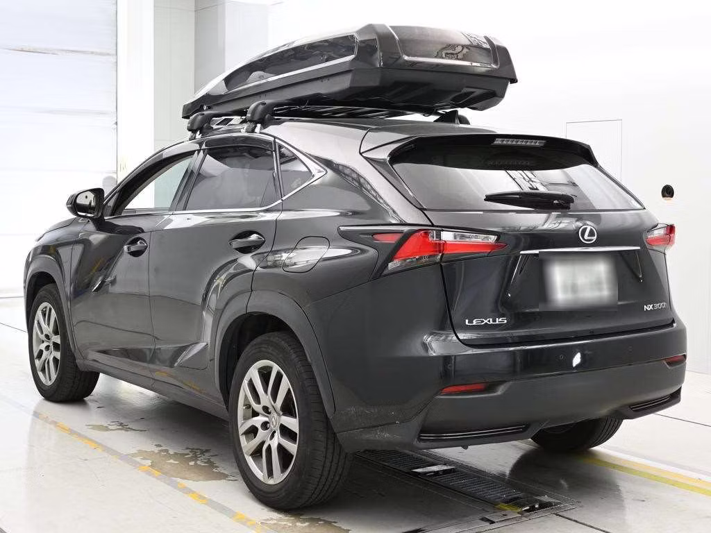 LEXUS NX300H