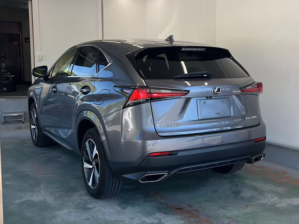 LEXUS NX300