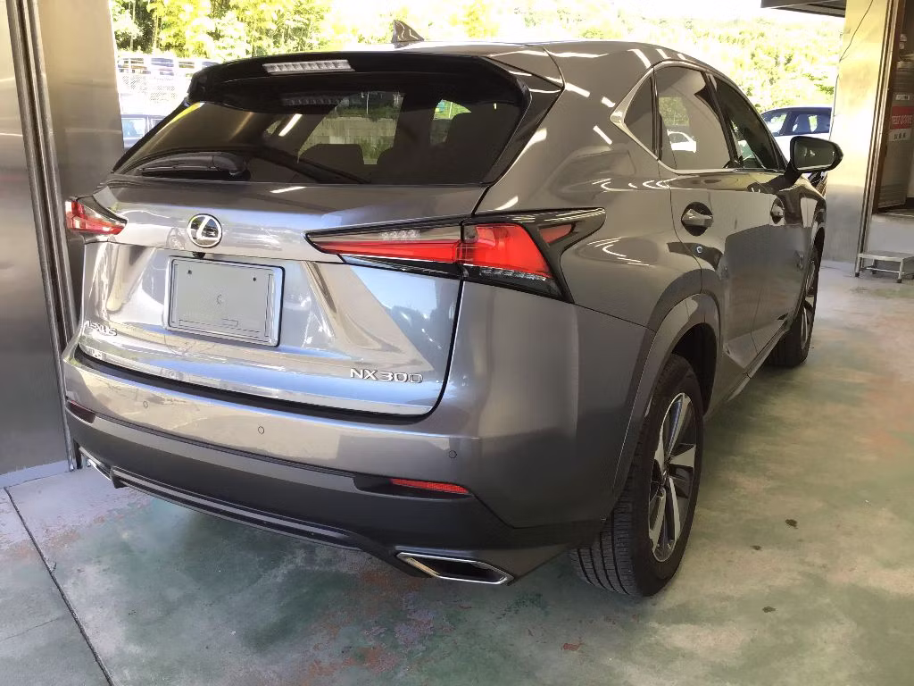 LEXUS NX300