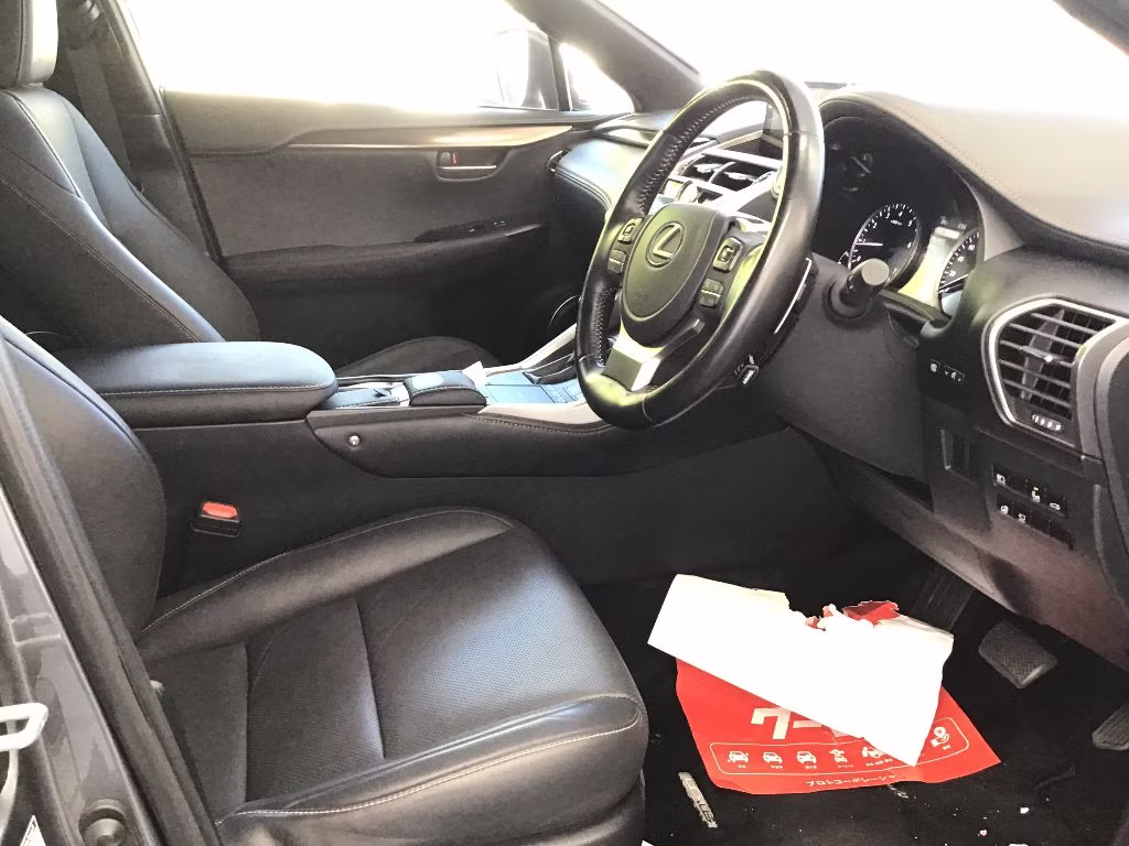 LEXUS NX300