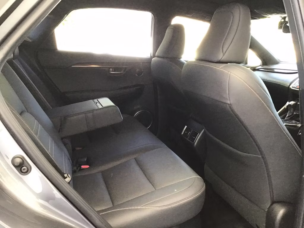 LEXUS NX300