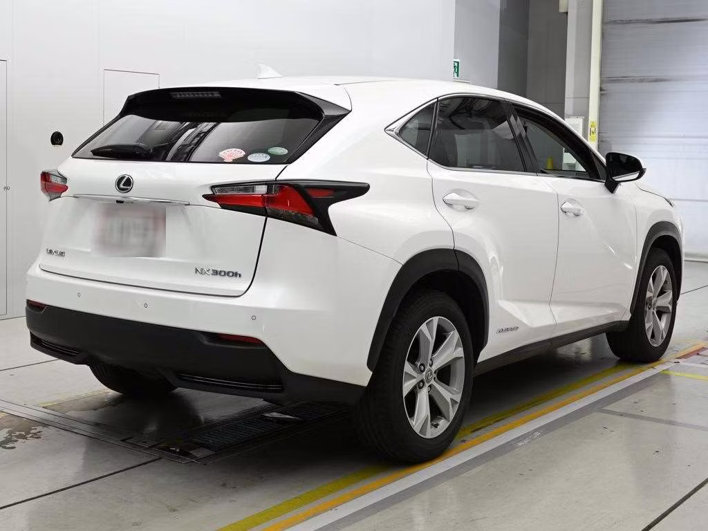 LEXUS NX300