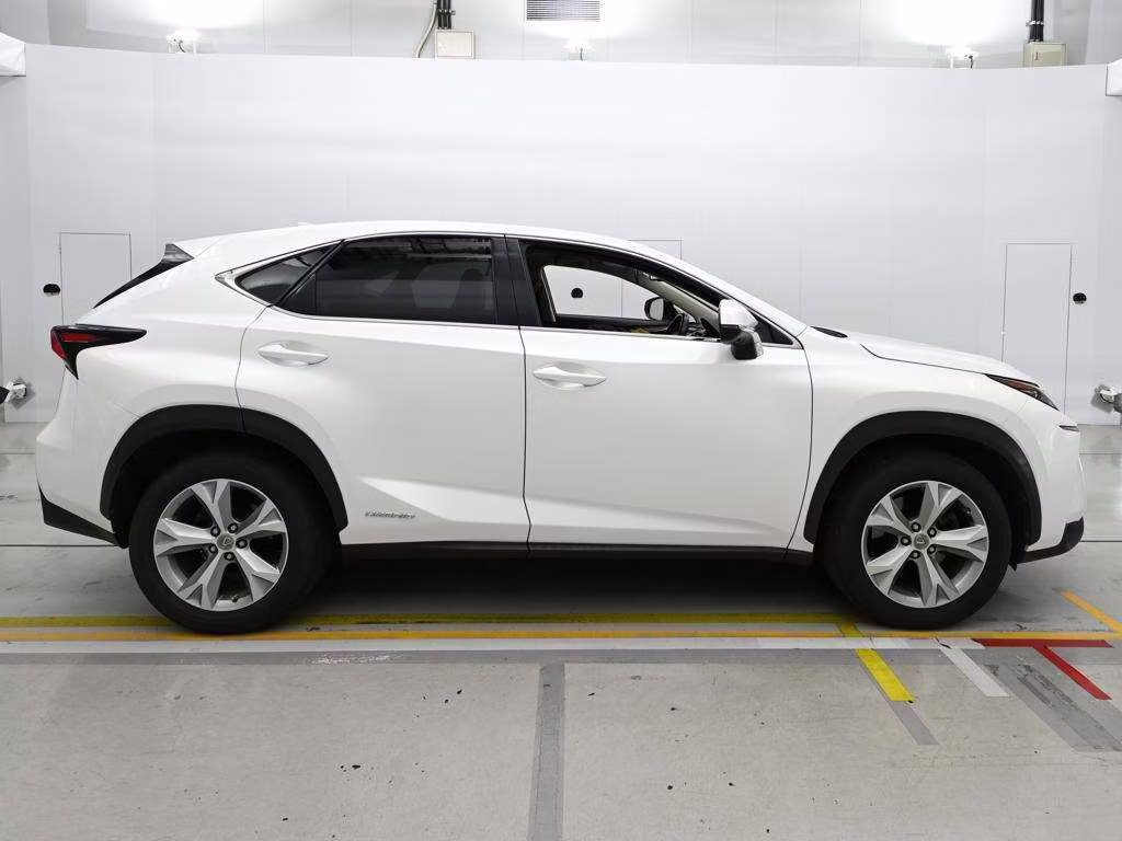 LEXUS NX300