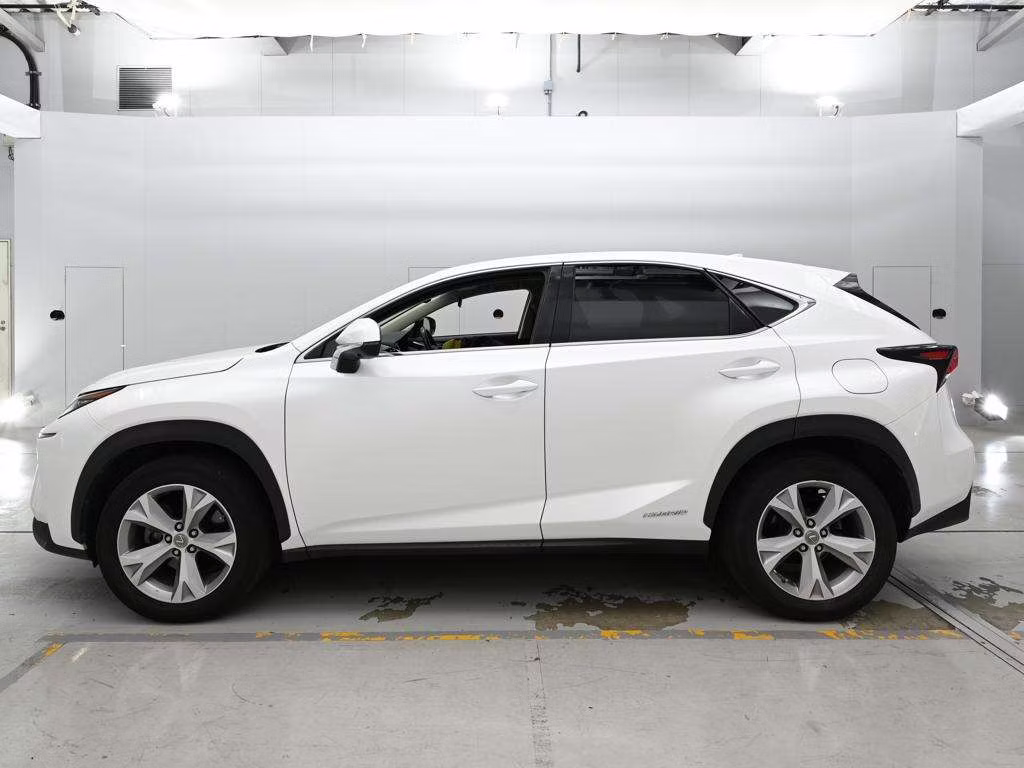 LEXUS NX300