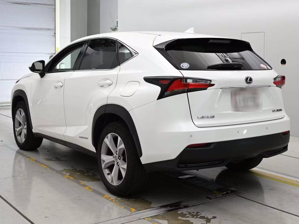 LEXUS NX300