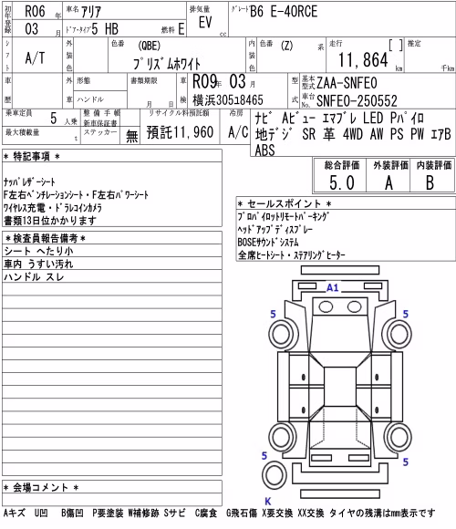 NISSAN ARIYA