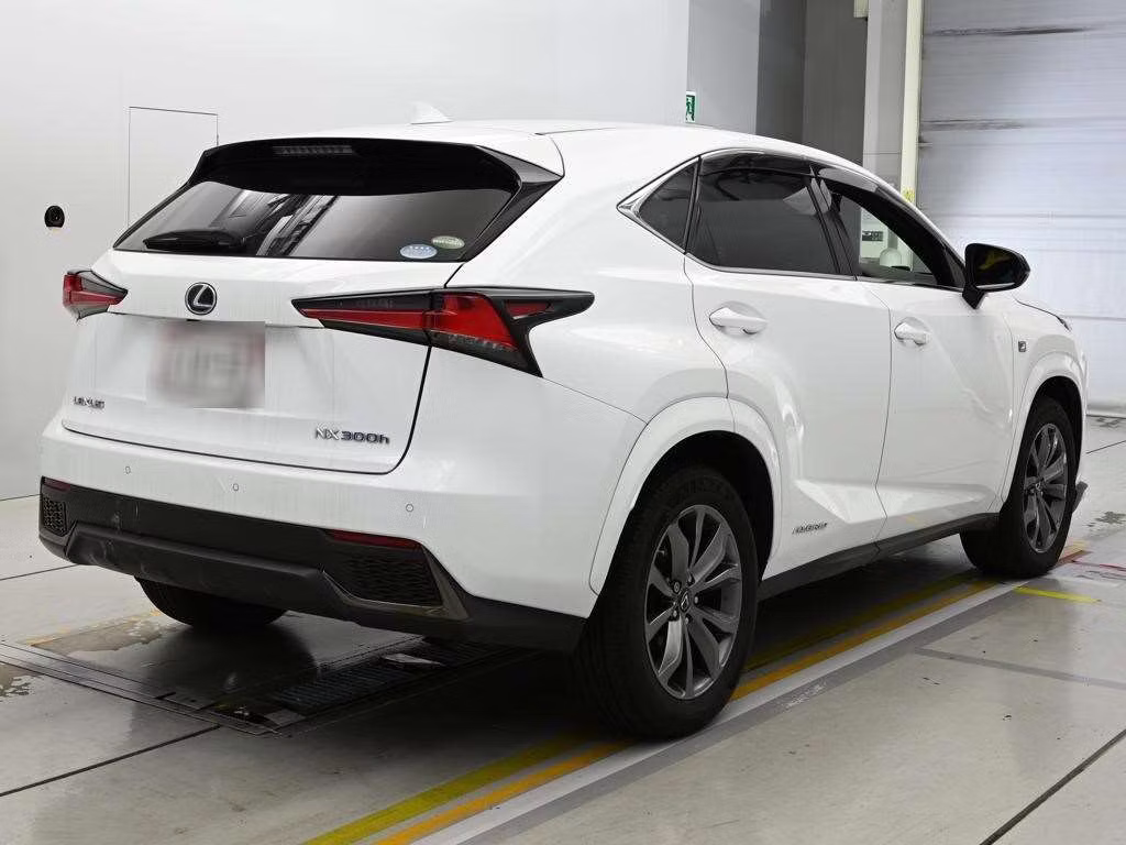 LEXUS NX300