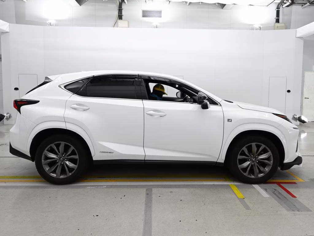 LEXUS NX300