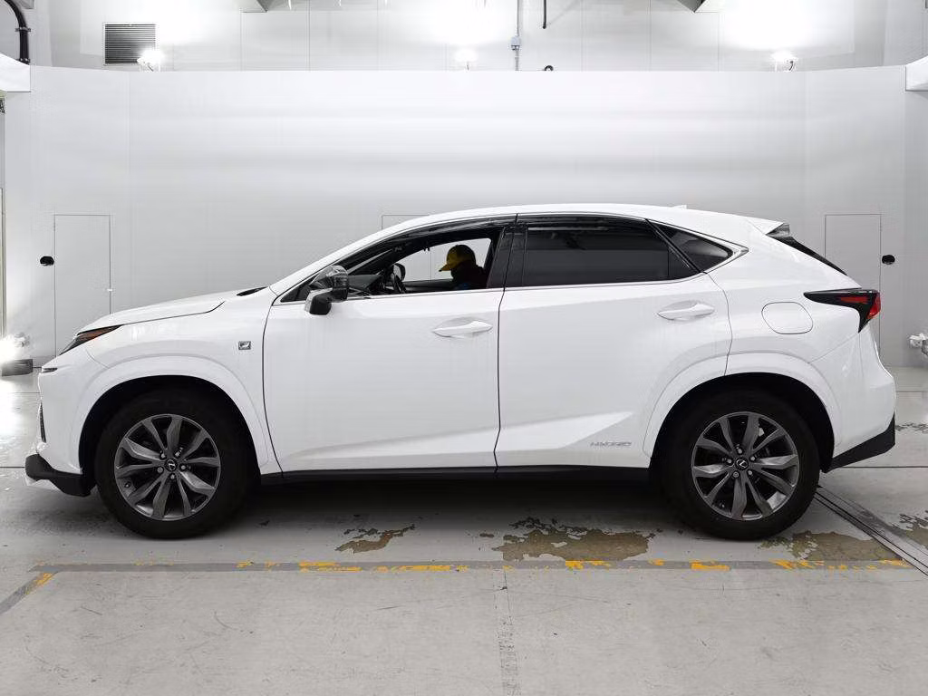 LEXUS NX300