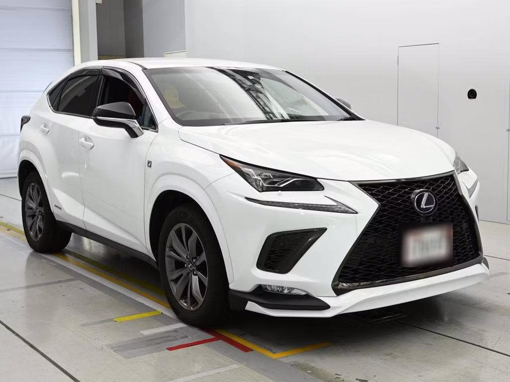 LEXUS NX300