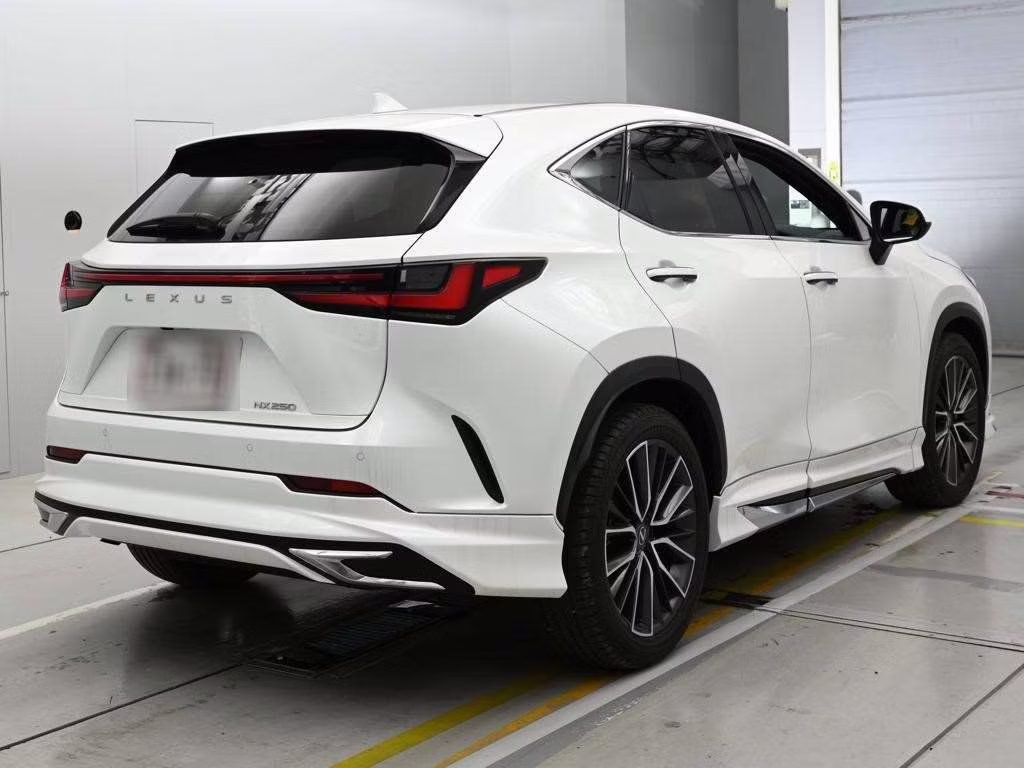 LEXUS NX250