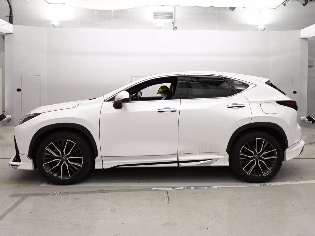 LEXUS NX250