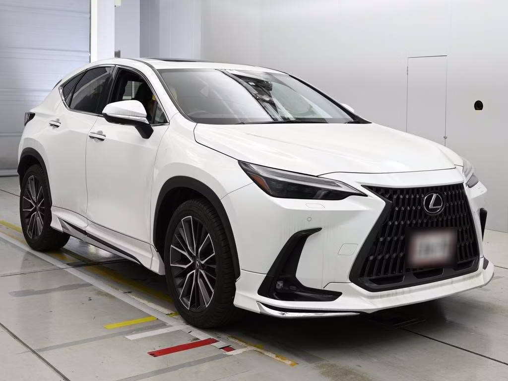 LEXUS NX250