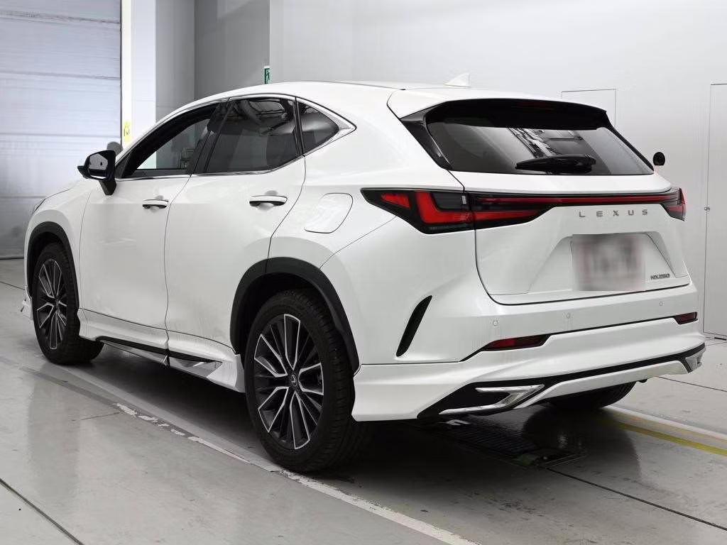 LEXUS NX250