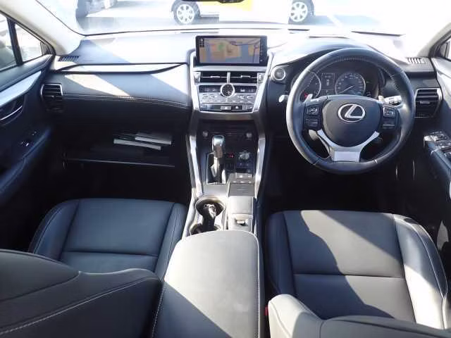 LEXUS NX300