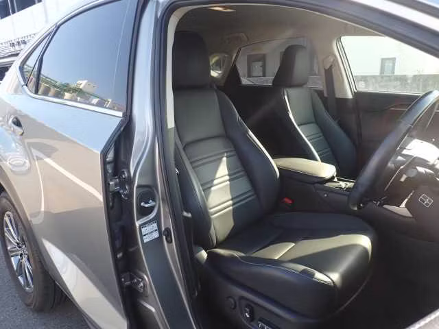LEXUS NX300