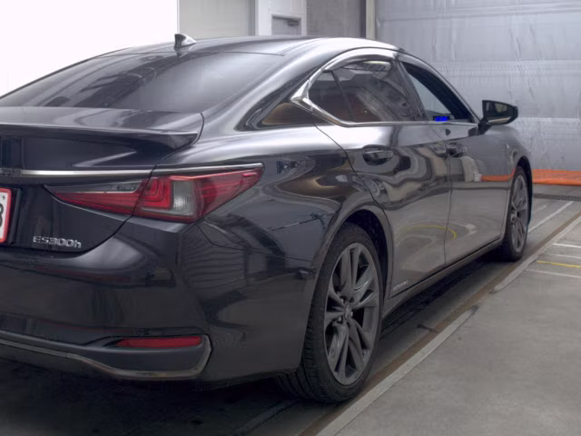 LEXUS ES300H