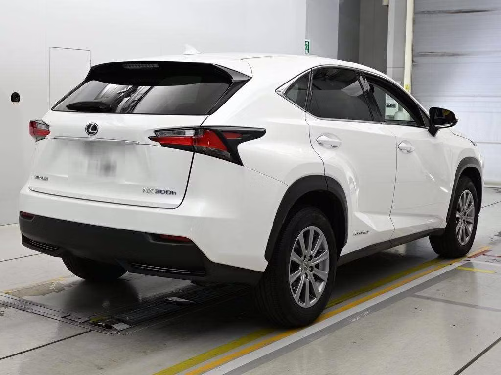 LEXUS NX300H