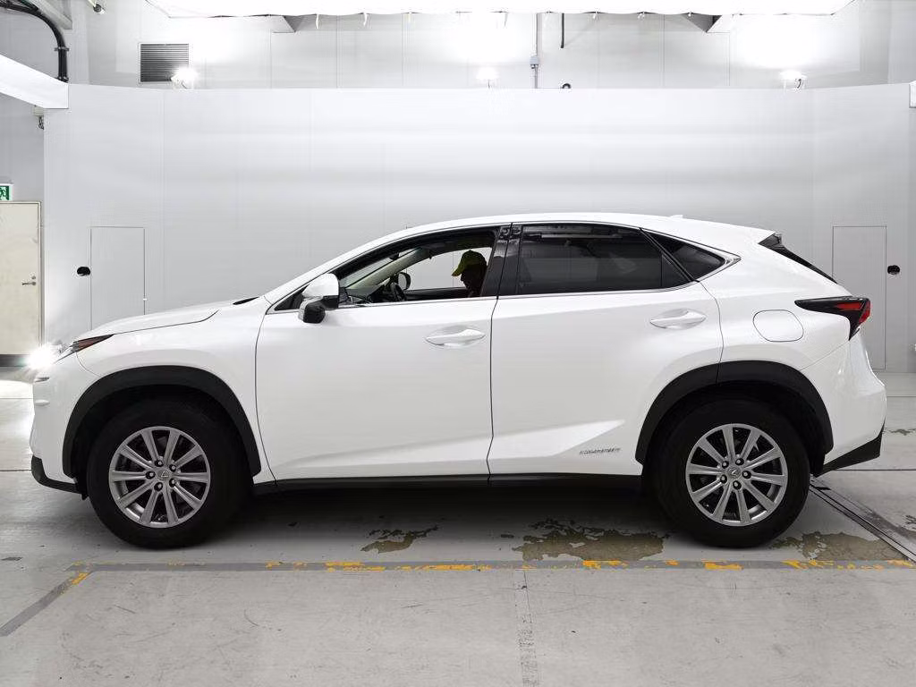 LEXUS NX300H