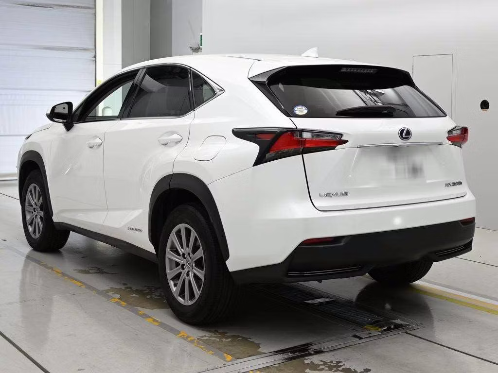 LEXUS NX300H