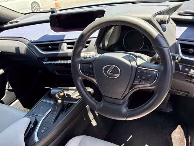 LEXUS UX250H