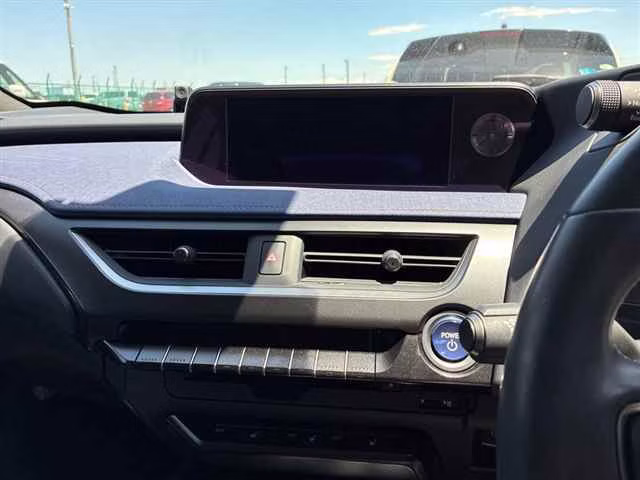 LEXUS UX250H