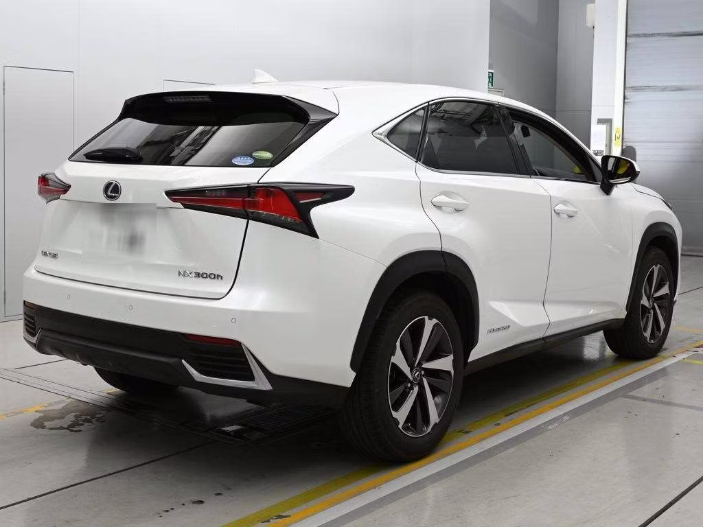 LEXUS NX300