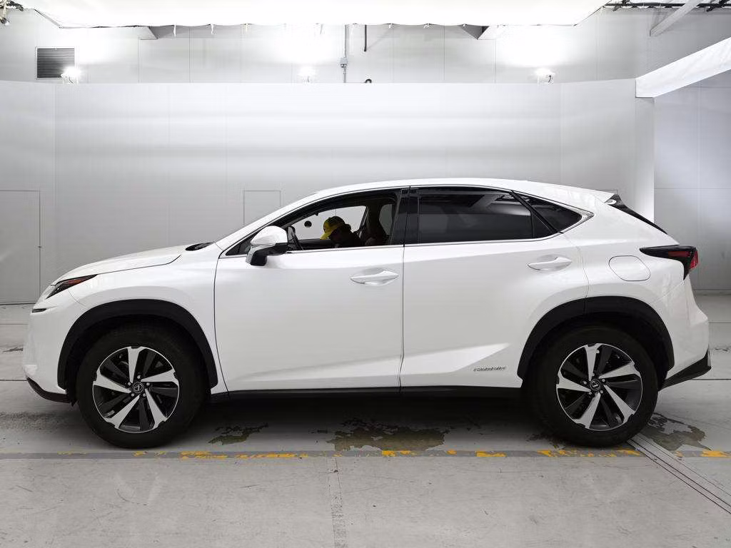 LEXUS NX300