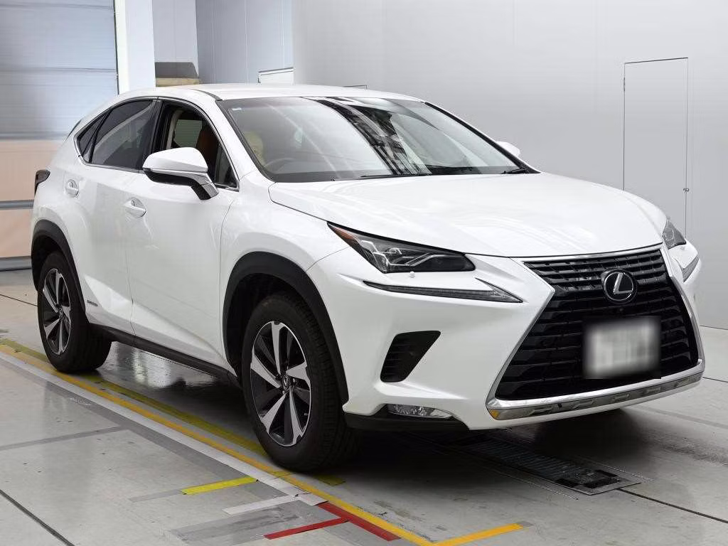 LEXUS NX300