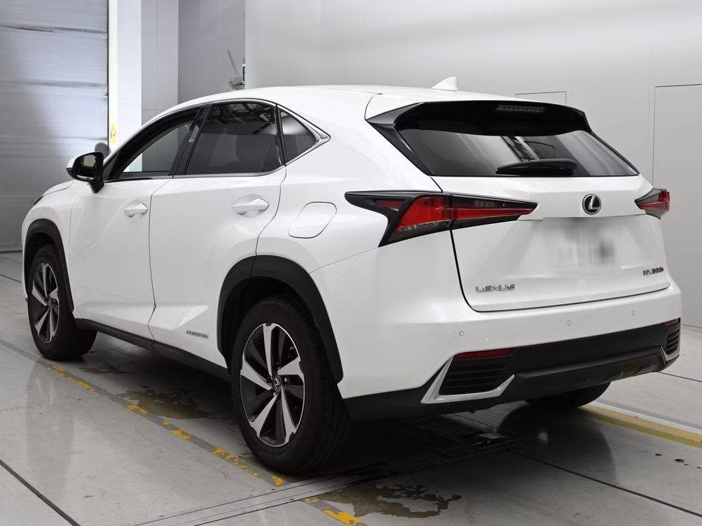 LEXUS NX300