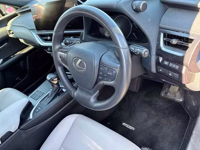 LEXUS UX250H