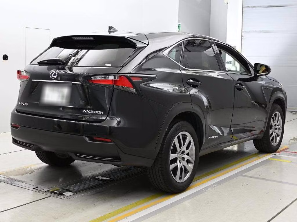 LEXUS NX300H