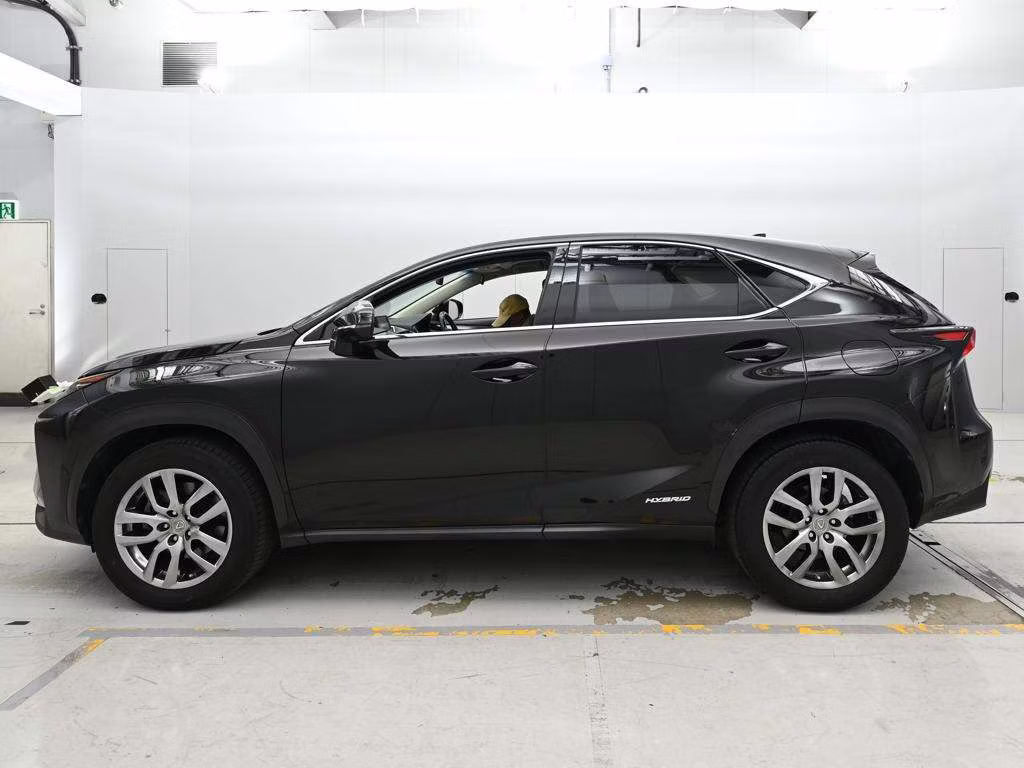 LEXUS NX300H