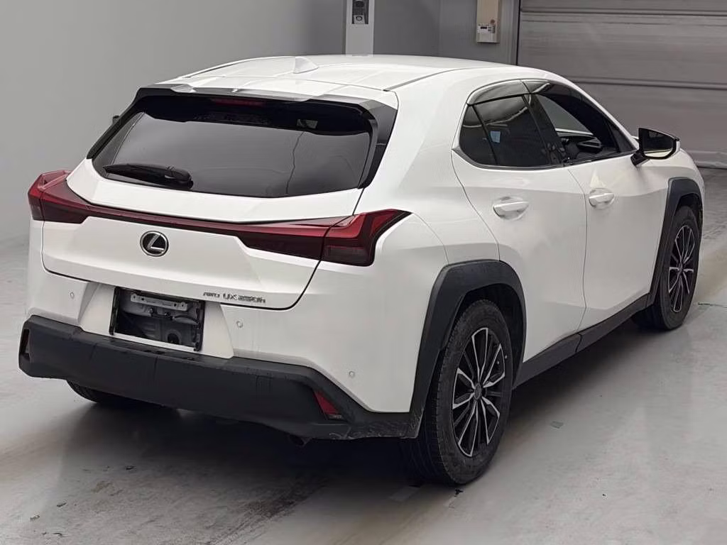 LEXUS UX250H