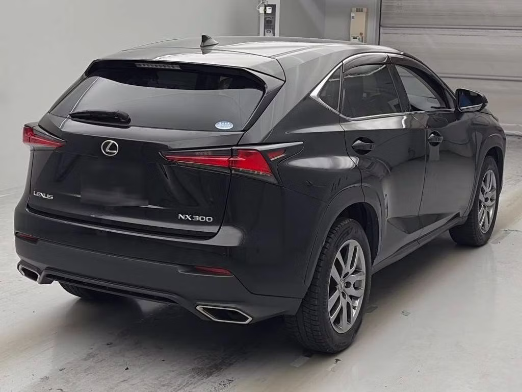 LEXUS NX300