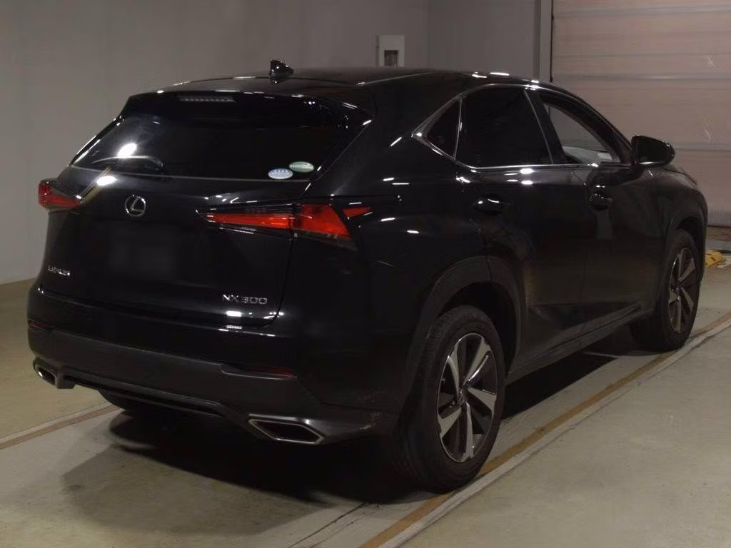 LEXUS NX300