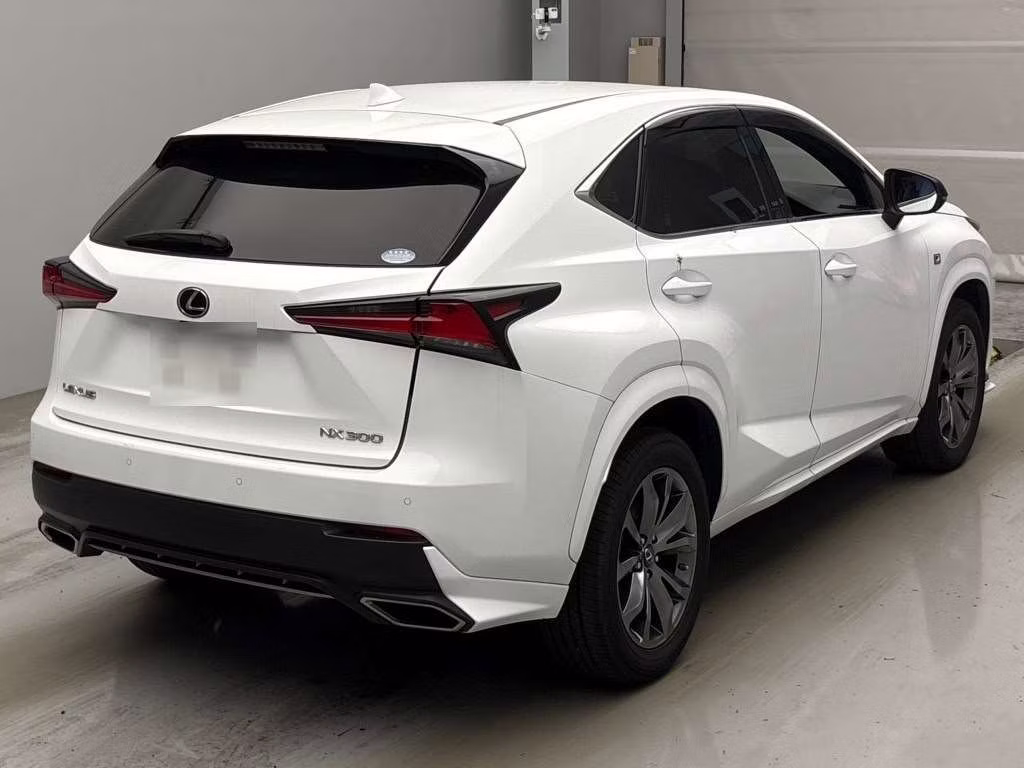 LEXUS NX300