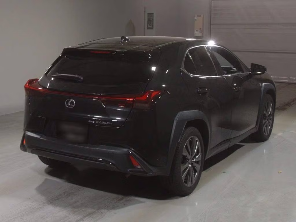LEXUS UX250H