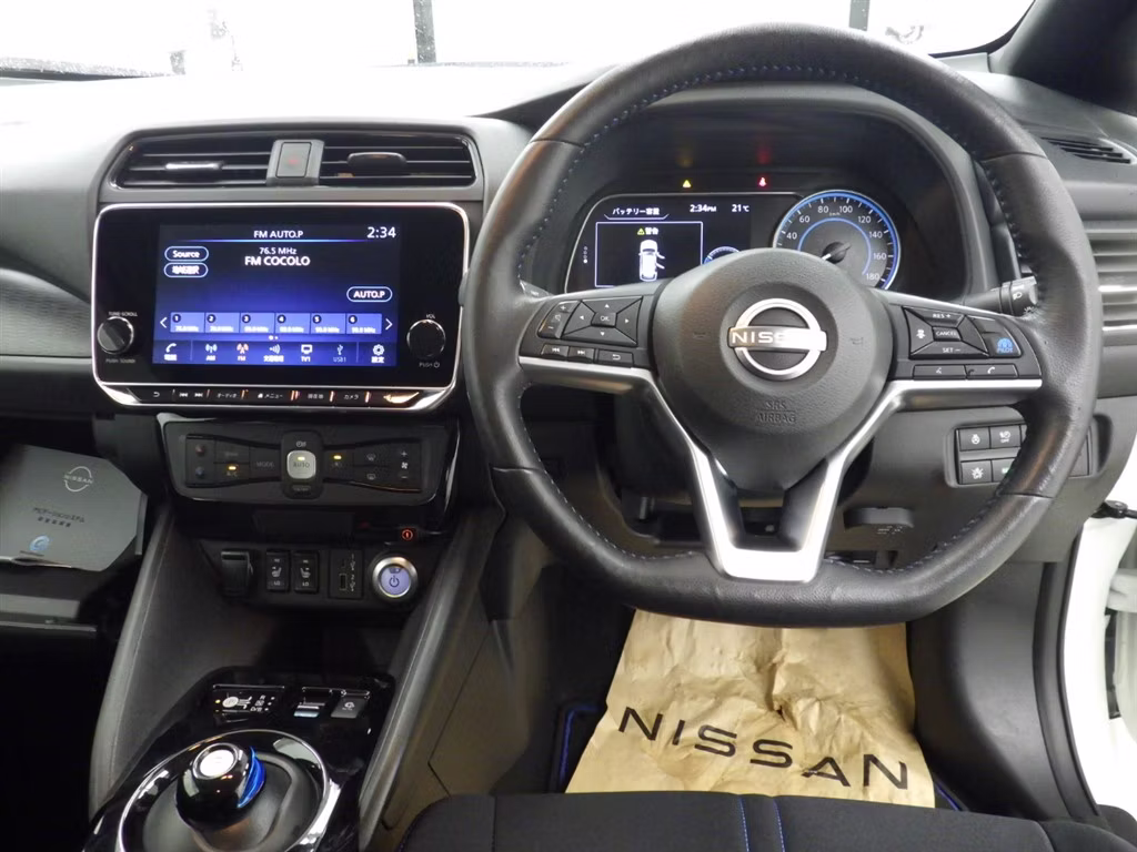 NISSAN LEAF