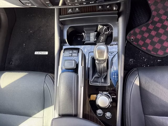 LEXUS GS300H