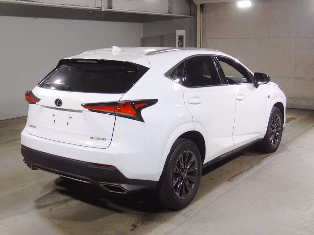 LEXUS NX300