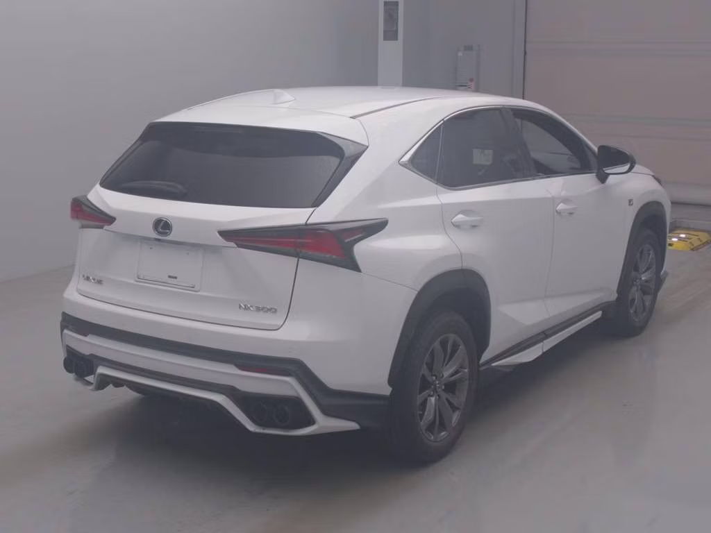 LEXUS NX300