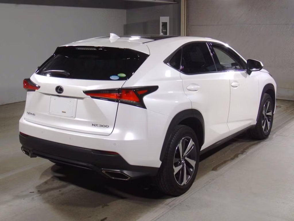 LEXUS NX300