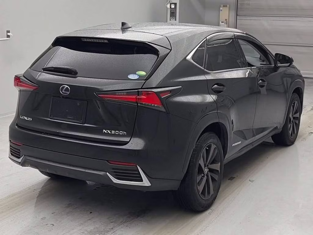 LEXUS NX300H