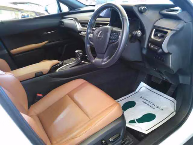 LEXUS UX250H