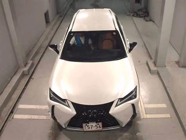 LEXUS UX250H