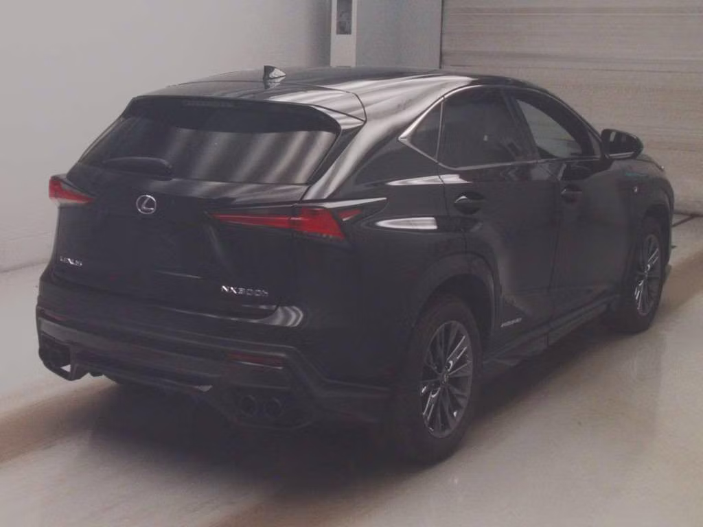 LEXUS NX300H